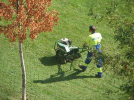 Plenlufter i arbeid paa en norsk plen